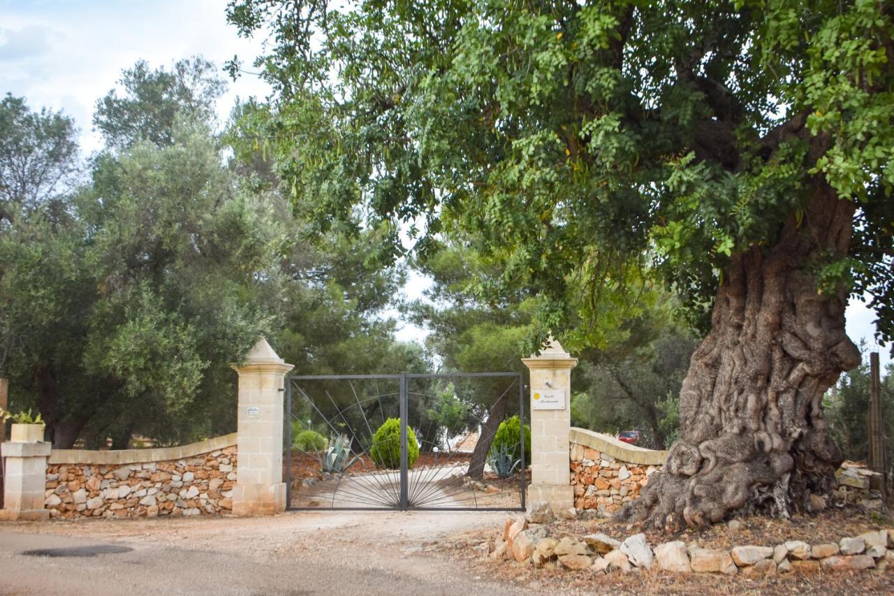 Vila Trulli Monte Madre San Vito dei Normanni Exteriér fotografie